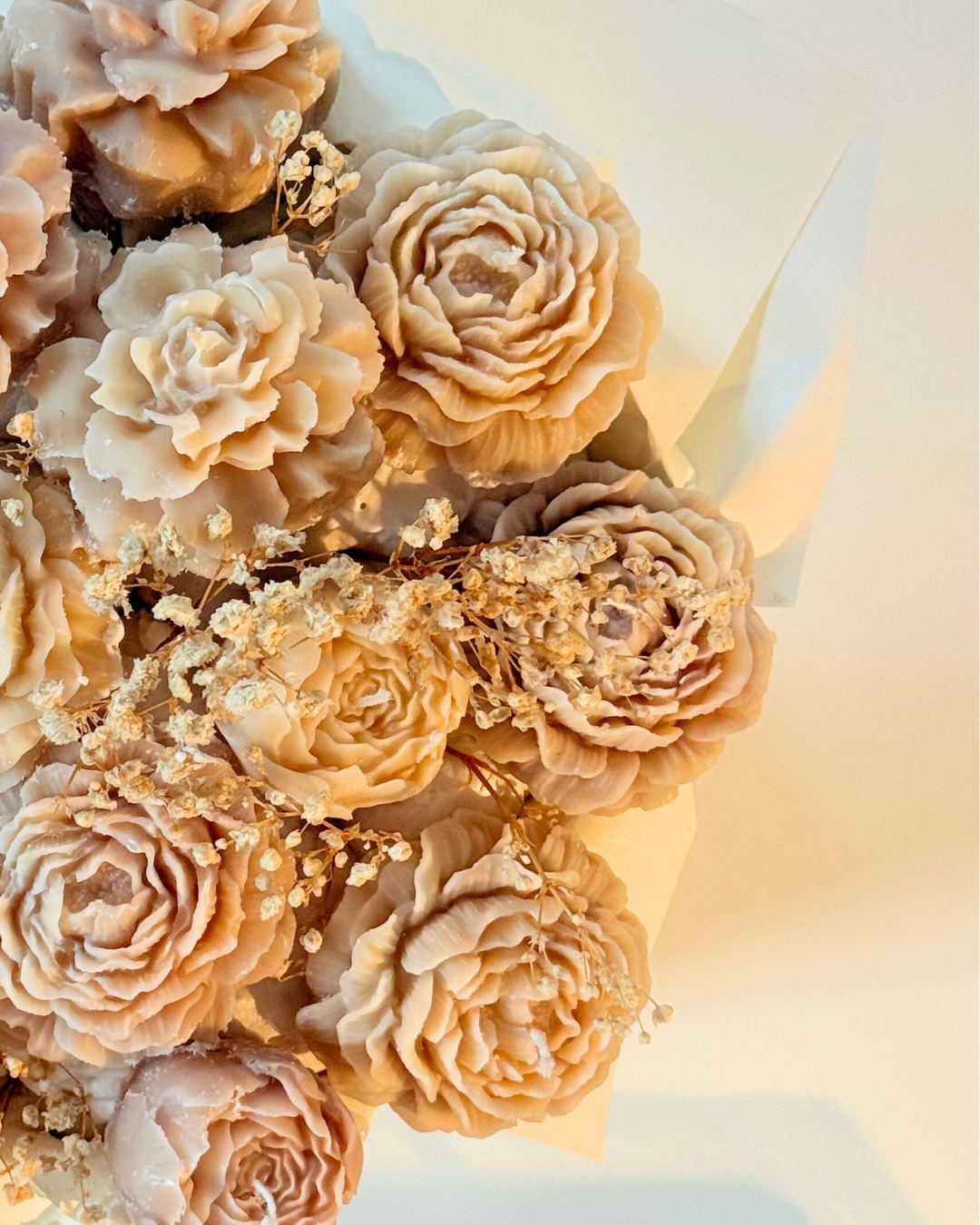 projekt bez nazwy (3)